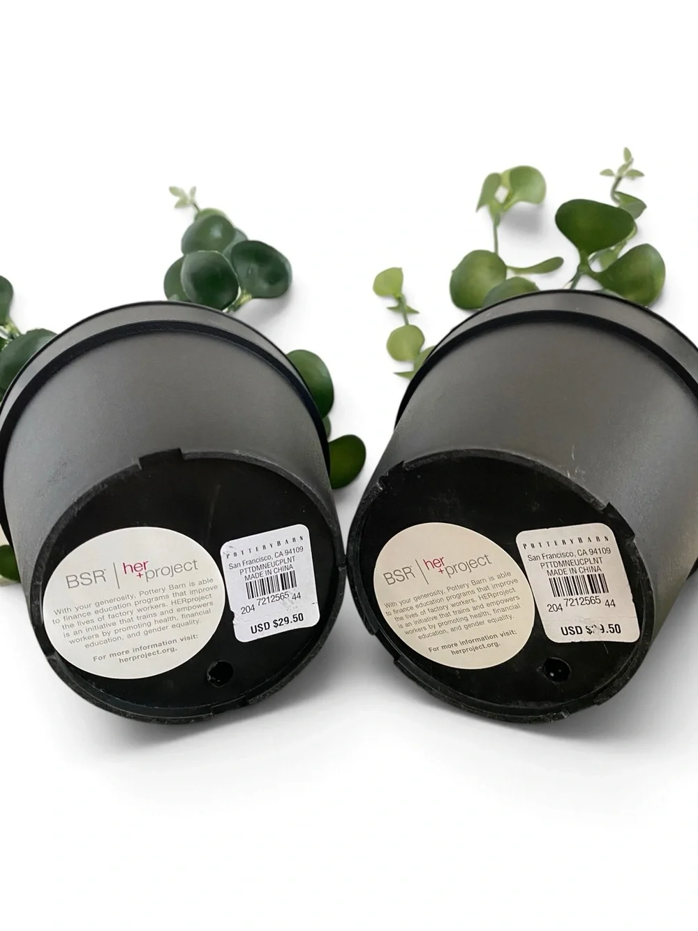 Pottery Barn Faux Potted Silver Dollar Mini Eucalyptus Plants Set of 2 NWT